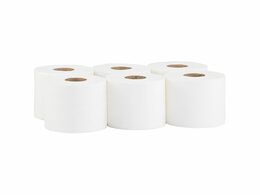 Toaletní papír MERIDA TOP FLEXI bílý, délka 120 m, průměr 17 cm, 2-vrstvý, 6 rolí/bal
