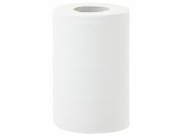 Papírové ručníky v rolích TOP  MINI, 2-vrstvé, 100% celulóza, délka 70 m, (12rolí/balení)