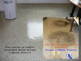 Prostředek na leštění podlah Merida EFFECTIN Plus 1 l.
