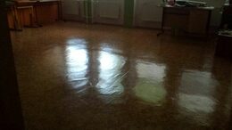 Prostředek na leštění podlah Merida EFFECTIN Plus 10 l.